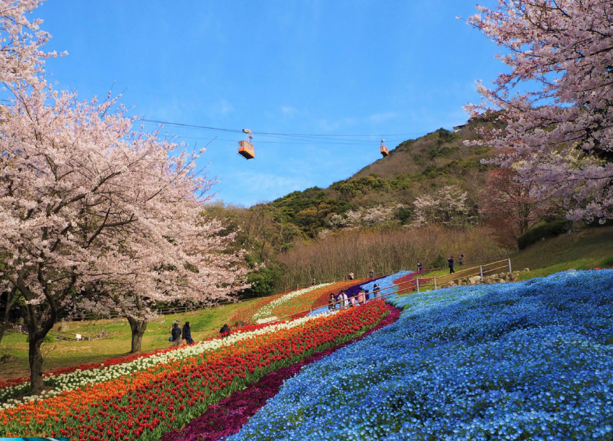 火の山公園