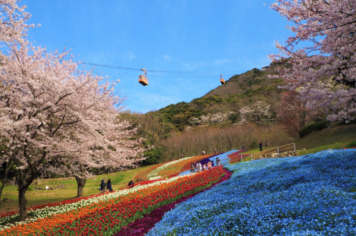 火の山公園