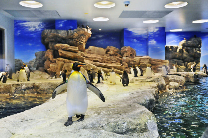 市立しものせき水族館｢海響館｣