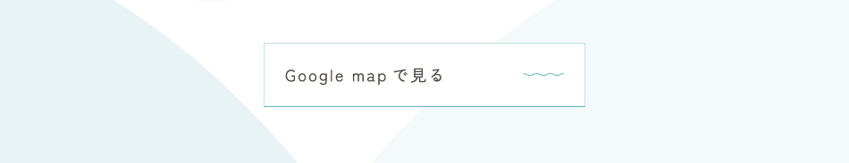 Googlemap